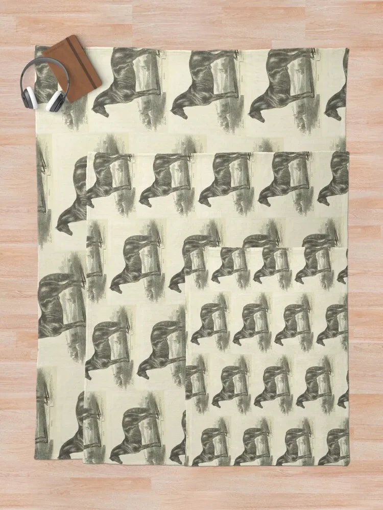 ��Ƽ�� ��� ȣ�� ��Ī ���ο� ���, ħ�� ���, ���Ÿ� ����, ����