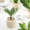 Simple Ceramic Flowerpot Office Desktop Green Plant Flowerpot Wind Silver Small Vase Flower Arrangement Decor Desktop Ornament 2