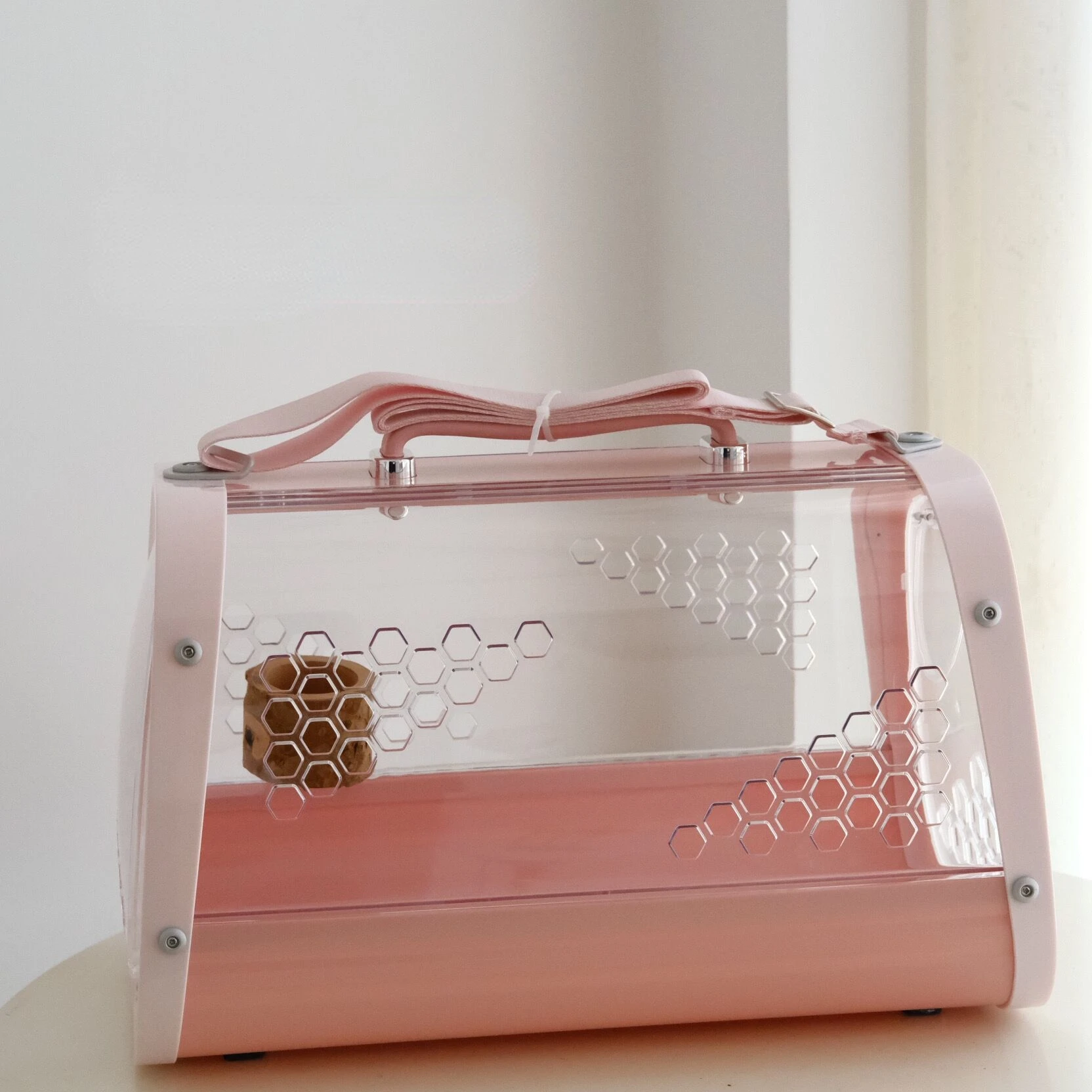 Рисунок 3 - Прозрачный попугай из клетки из