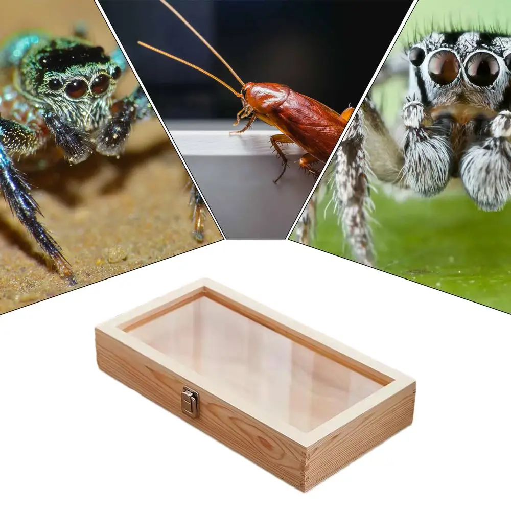 Wood Specimen Display Case Butterfly Frame Case Earrings Rings Necklaces Organizer Holder Display Case Specimen Showcase With