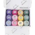 Wild Orchid