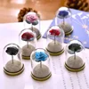 120pcs Mini Glass Dome Cloches Bell Jar Beautifully packaged eternal flowers for Home decoration, Valentine's Day gifts 1