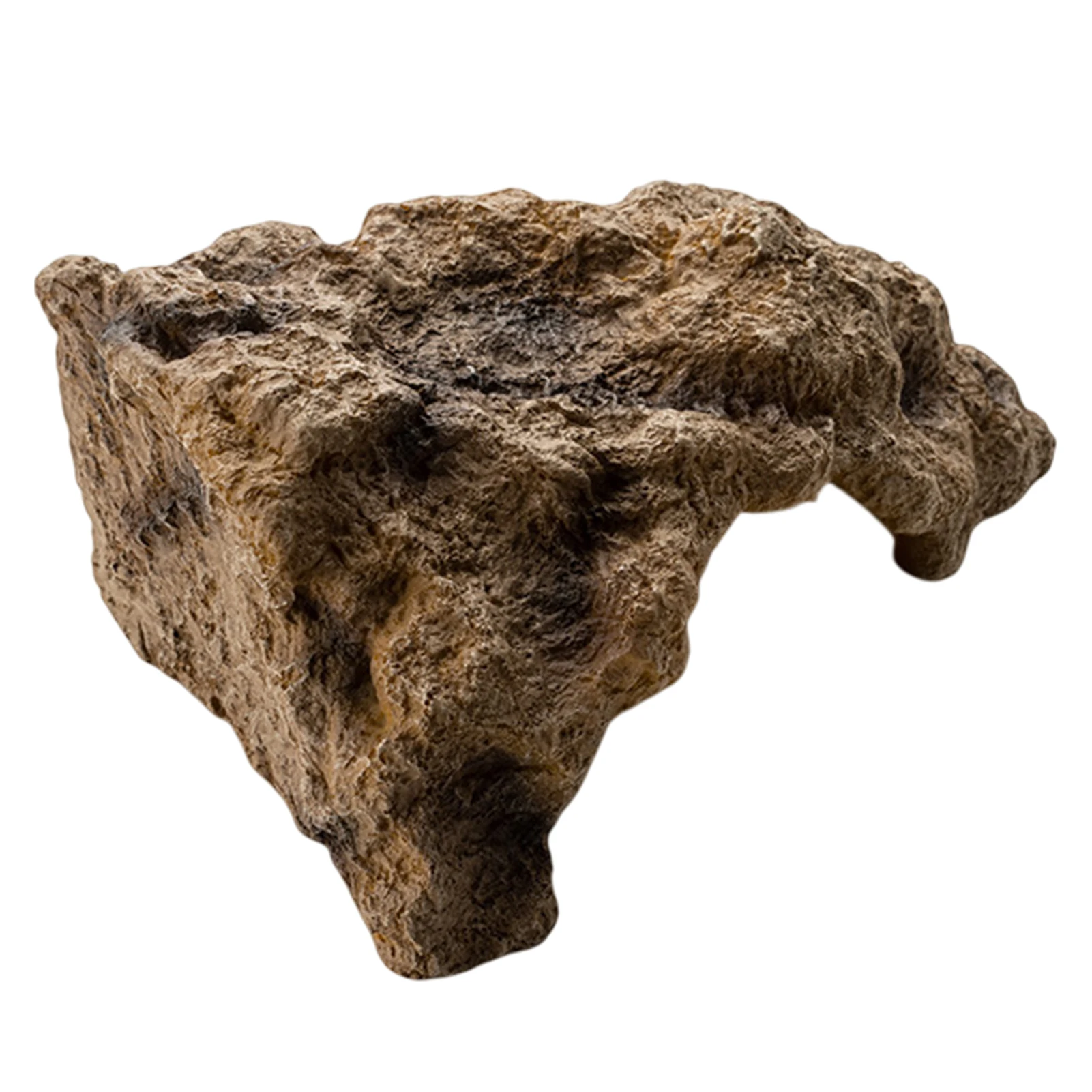 rock-reptile-amphibian-cave-sapiens-pets