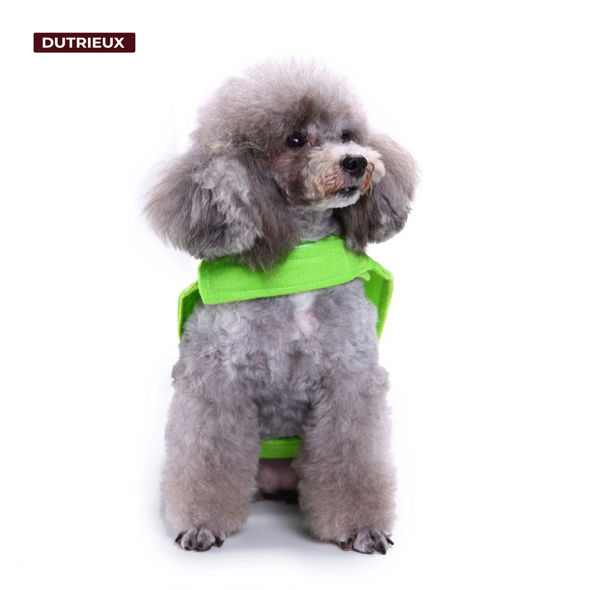 듀트리엑스 고양이 백팩 강아지 조끼 의상 재미있는 애완동물 검은 고양이 라이딩 의상 할로윈 옷 소형견 귀여운 파티 사진 소품