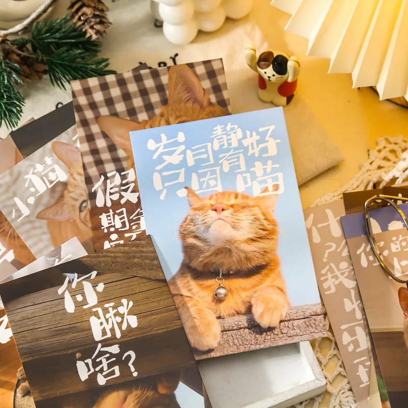 Adorable Pet Go Out Series Postcard Cute Cat Photo Card Greeting Message Cards Student Christmas New Year Gift 30 Sheets/Set