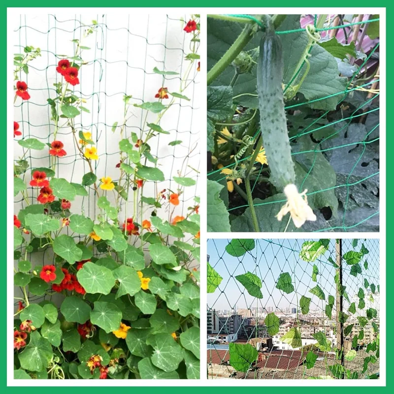 KINGLAKEGarden grid suitable for rock climbing plants, 6ft x 12ft green garden plant net, heavy plastic plant grid, protect vege 4