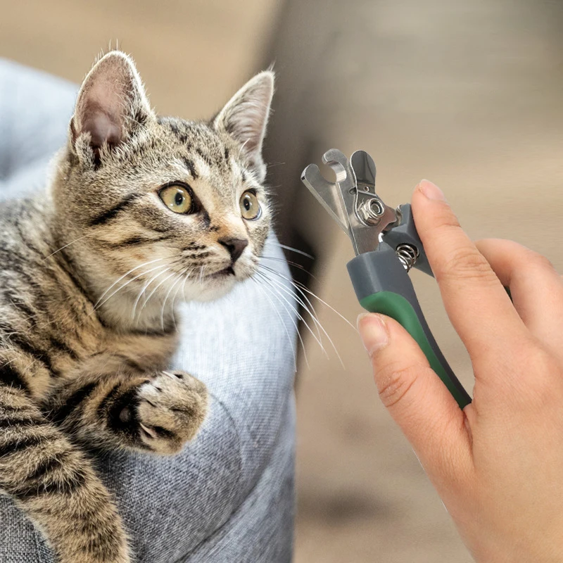 Professional Pet Nail Clipper Dog Cat Nail Clippers Stainless Steel Scissors Cat Dog for Claw Care Grooming Supplies 6