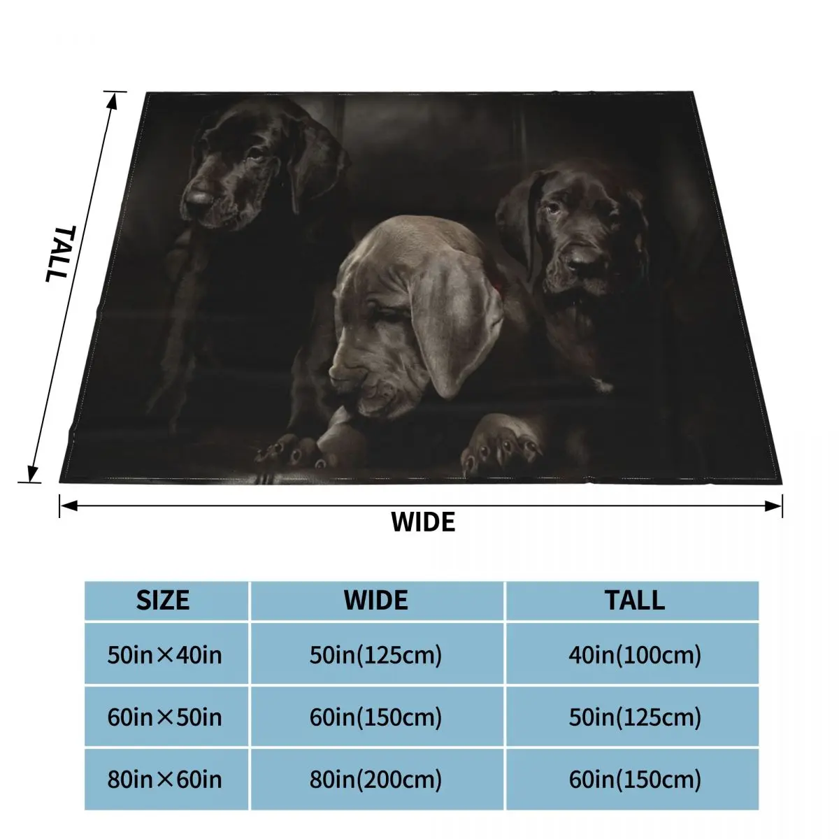 �׷���Ʈ ���� ��� ���� Ŀ�� �ö���, ����� ���� �� �ٱ�� ����Ʈ ���ο� ���, Ȩ ���ǽ� ���� �ǽ�