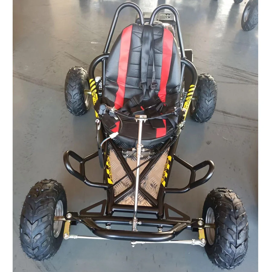 Favorable Price Outdoor Karts 196cc 45km/h Youngsters Mini Drifting Grassland Karting Buggy