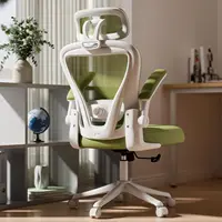 Ergonomic Office Chair M903, High Back Computer Desk Chair With Adjustable Lumbar Support & Headrest, Green Task Chair Comfy, 1
