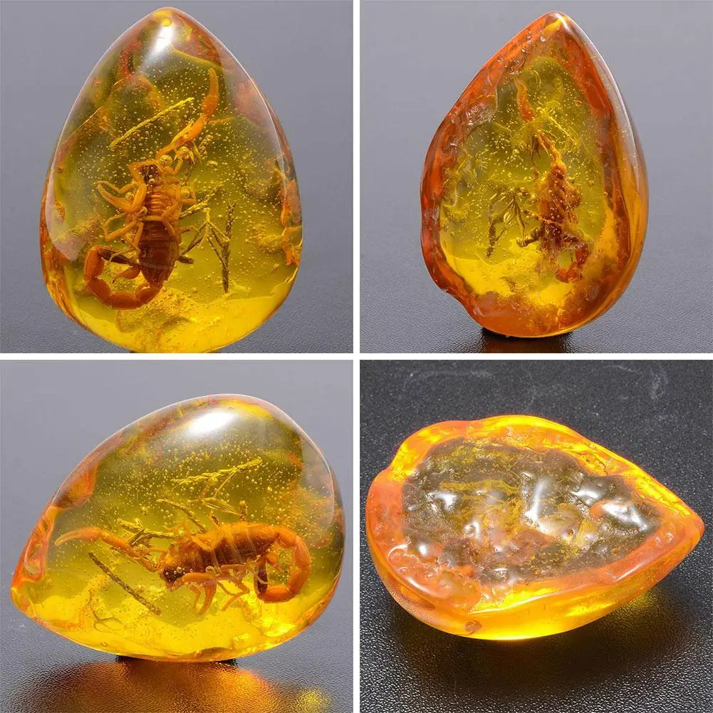 Insect Stone Natural Scorpions Inclusion Amber Baltic Gift Home Pendant Stone Wedding Party Decorative DIY Necklace U0G4