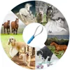 Variable Pet Horse Metal Sweat Scraper Dog Hair Shedding Blade Brush Horse Grooming Tool for Cleaning Deshedding Hair Care Tool 6