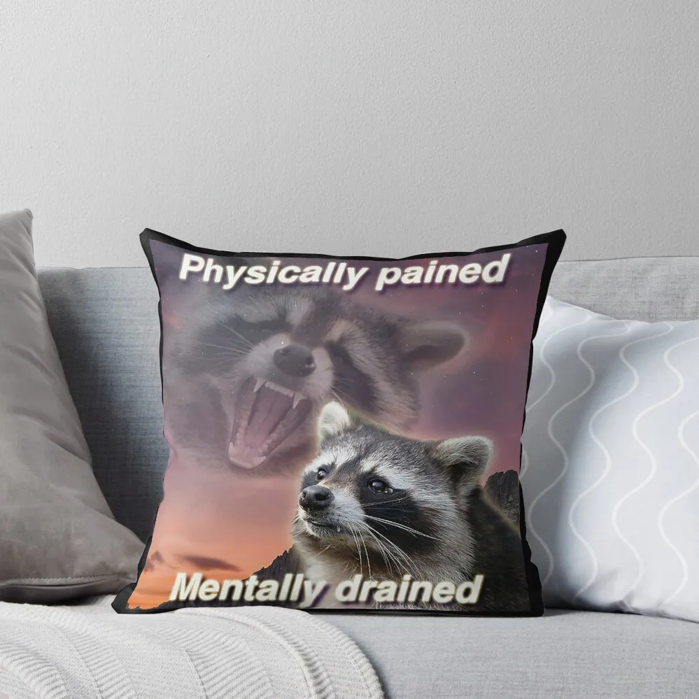 

Racoon Meme Throw Pillow Plaid Sofa Pillow Cover Pillow Decor
