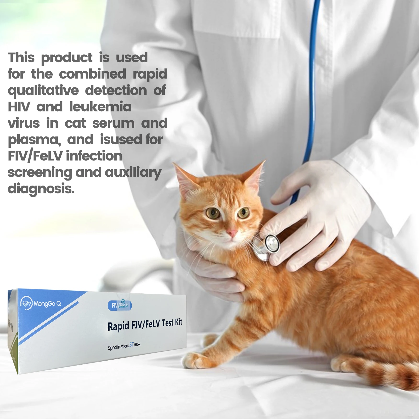 MongGo Q 5 and 10-Packed Feline Leukemia, Auxiliary Diagnostic, Healthy Rapid Testing Kit for Cats FIV, FeLV-5/10