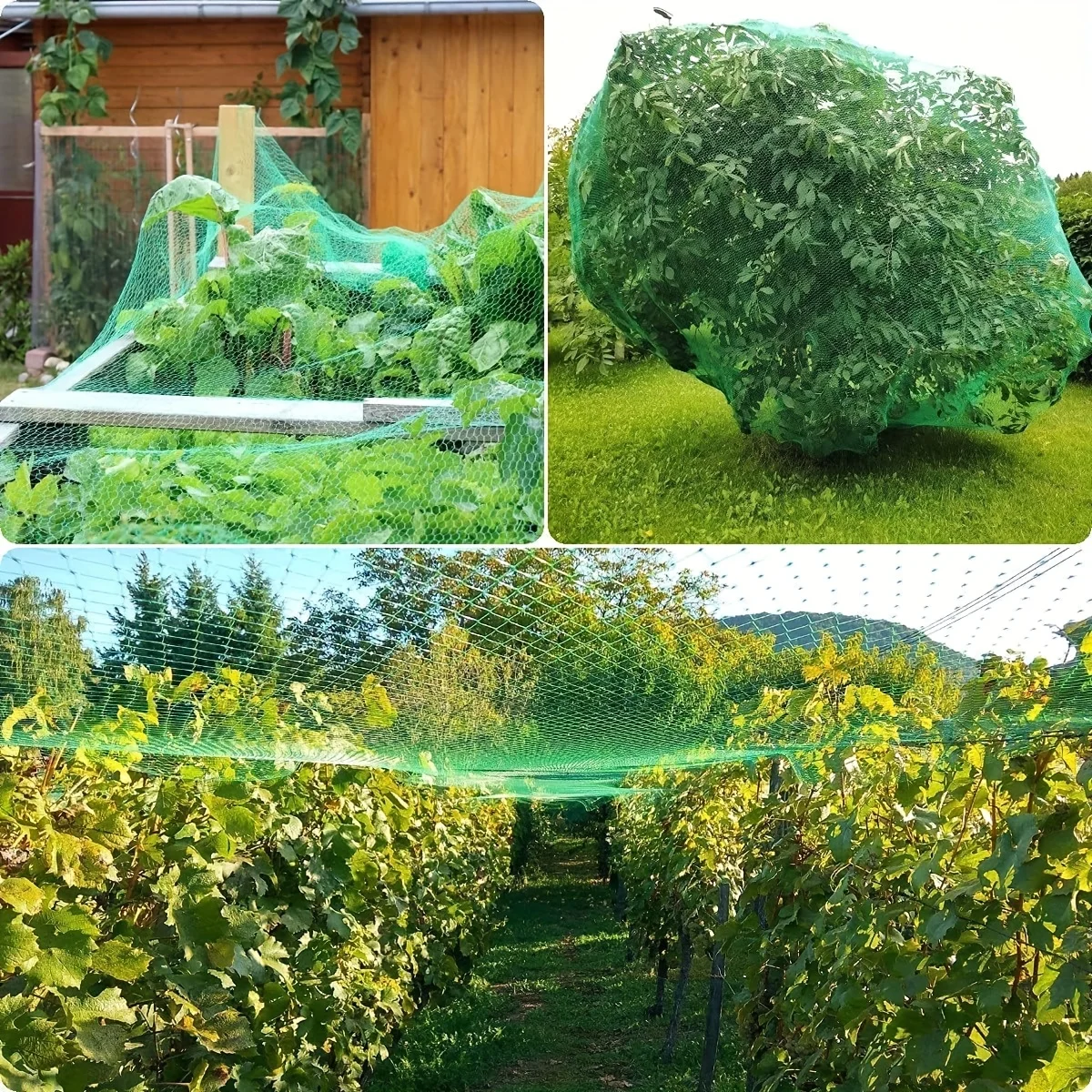 Garden Netting Bird Protection Sbd7082ed185f40f38b9b775b87eb0a58o