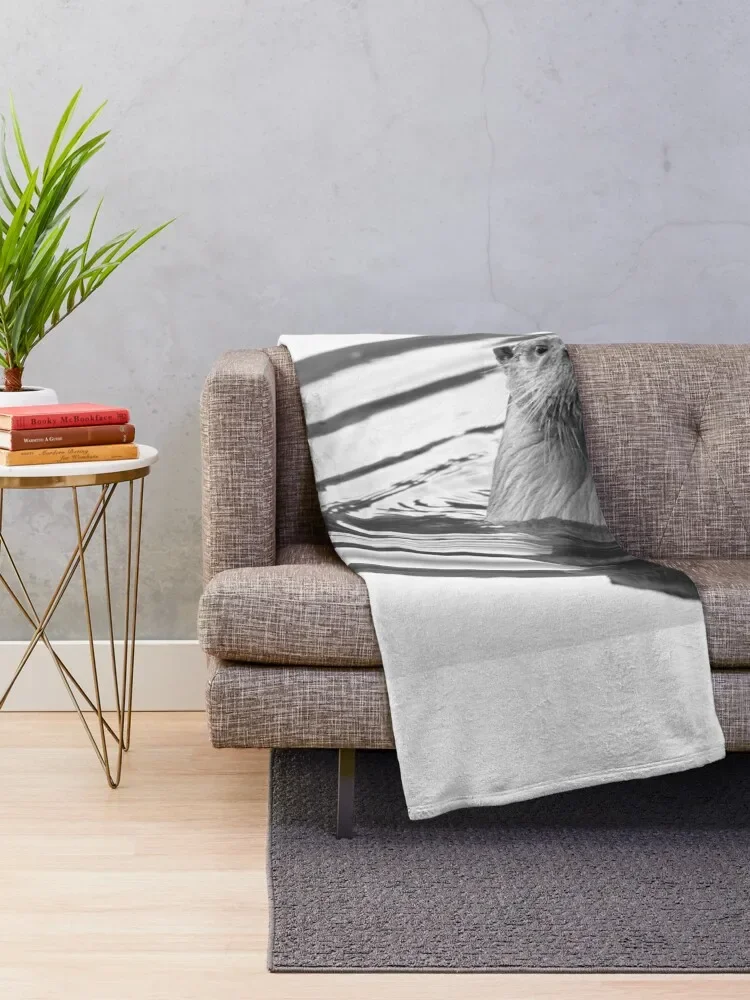 �� ���� ���� ������ ���, ��Ƽ�� ����, ������ ���