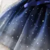 Lilo Stitch Girls Cosplay Dress Clothes Kids Party Halloween Carnival Birthday Party Princess Evening Tutu Dresses Toddler 2-6Y 3
