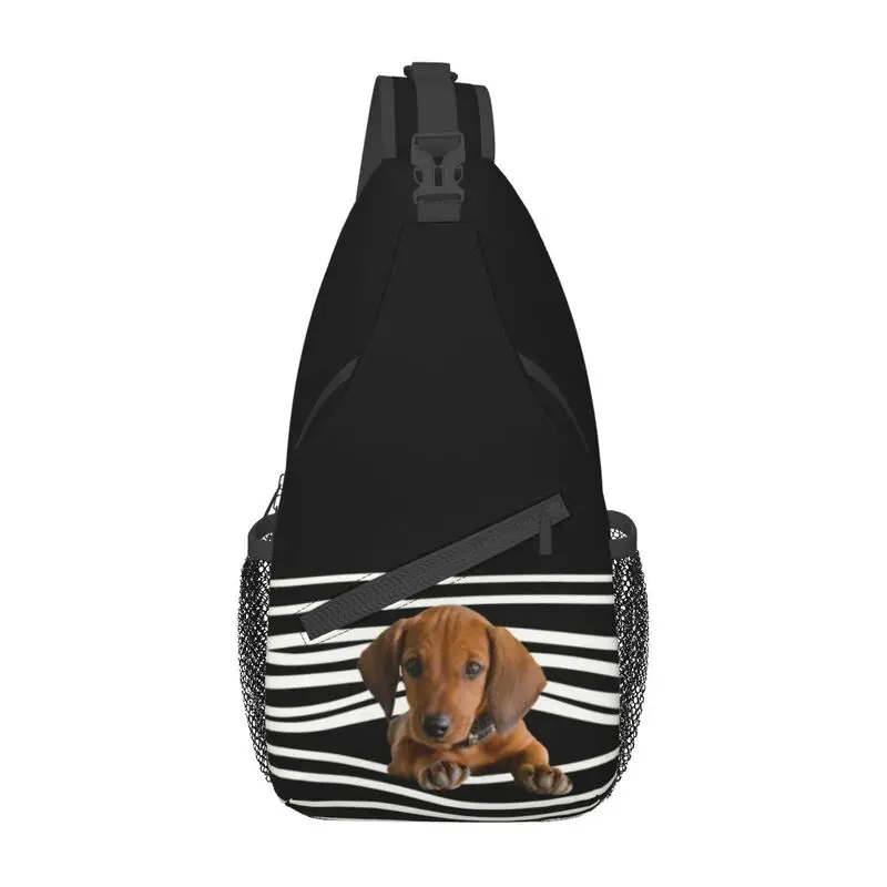 Pack Mochila Mochilas Para Perros Salchichas Divertido Dachshund