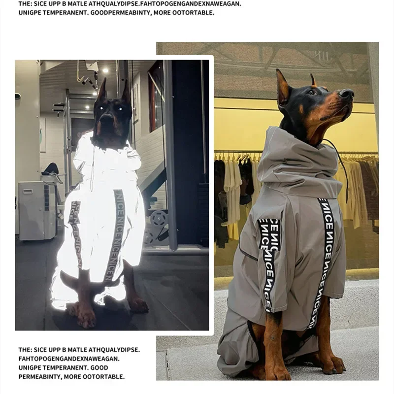 NORDICA (ノルディカ) Dobermann Rain Coat Dobermann Rain Coat Nordica - Skis and Boots – Official website