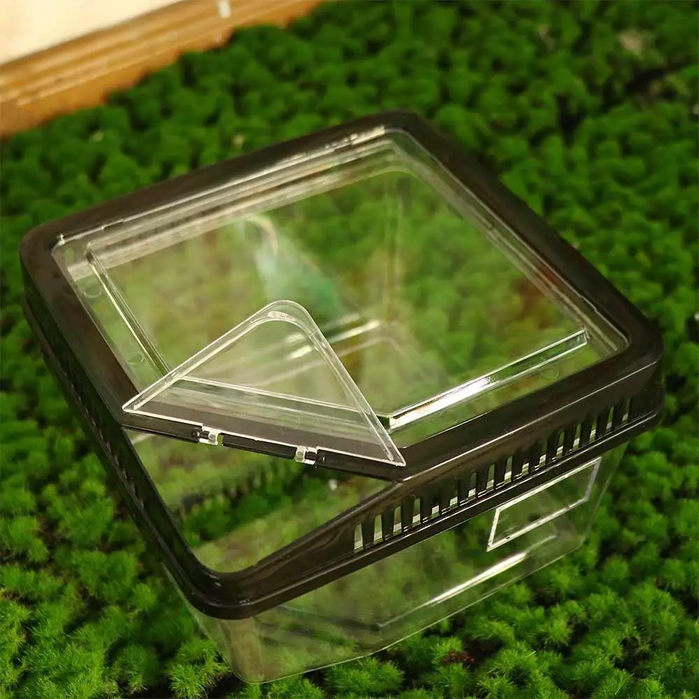 Title 8, Transparent Anti-escape Reptile Terrarium Tank ...