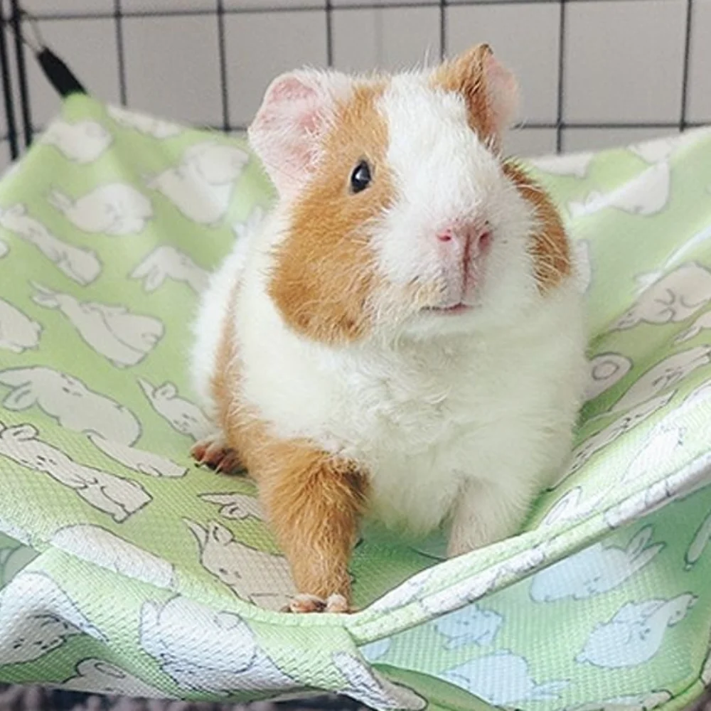 Description Picture 6 of itemSummer Cooling Pet Hammock Breathable Comfortable Hamster Hanging Beds Easy To Clean Waterproof Squirrel Sleeping Bag