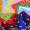 URATOT 16 Pieces Paisley Bandanas Cowboy Bandana Handkerchiefs Paisley Print Head Wrap Scarf, Assorted 16 Colors 2