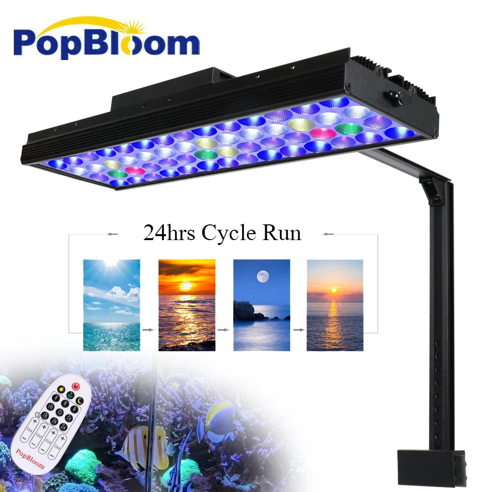 

PopBloom-Marine Aquarium Light, 100W, Full Spectrum Aquarium Lamp with Timer, 50-70cm, SPS, LPS, Reef Coral, Fish Tank Lighting