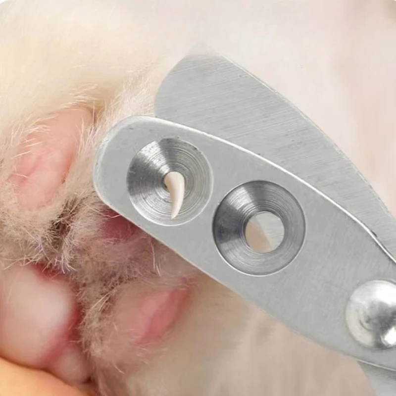 Pet Nail Grooming Clippers Professional Cat Nail Clippers for Small Cat Dog Stainless Steel Puppy Claws Cutter Pet Nail Grooming Clippers Professional Cat Nail Clippers for Small Cat Dog Stainless Steel Puppy Claws Cutter