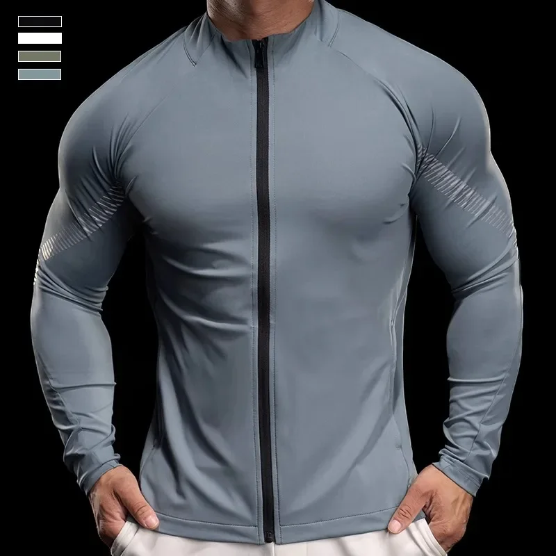 D42186 blue