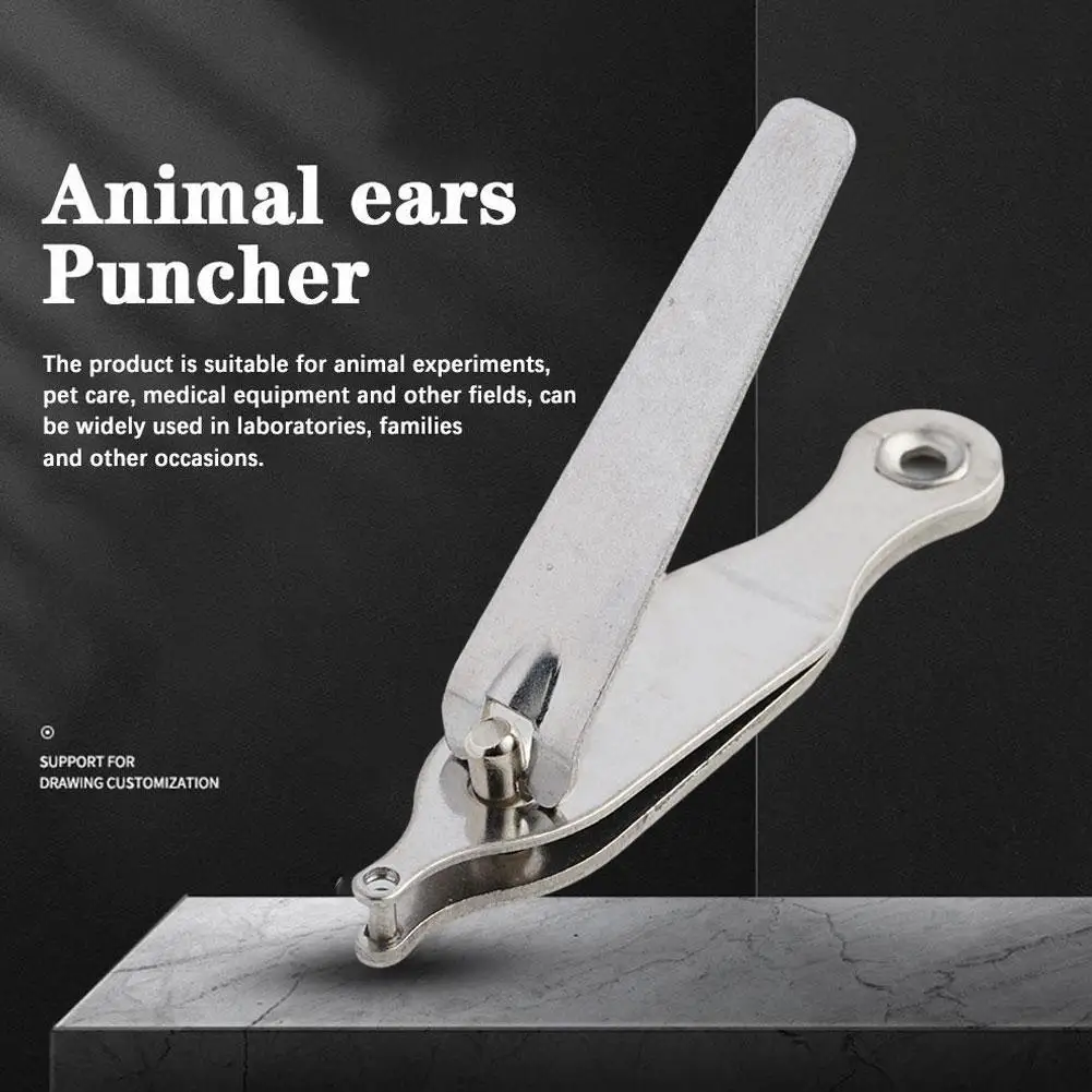 

Отверстие для грызунов из нержавеющей стали для маркировки домашних животных-2 мм, лабораторные эксперименты, плоскогубцы для ушных отверстий, инструменты для пробивки отверстий в мышке и крысе