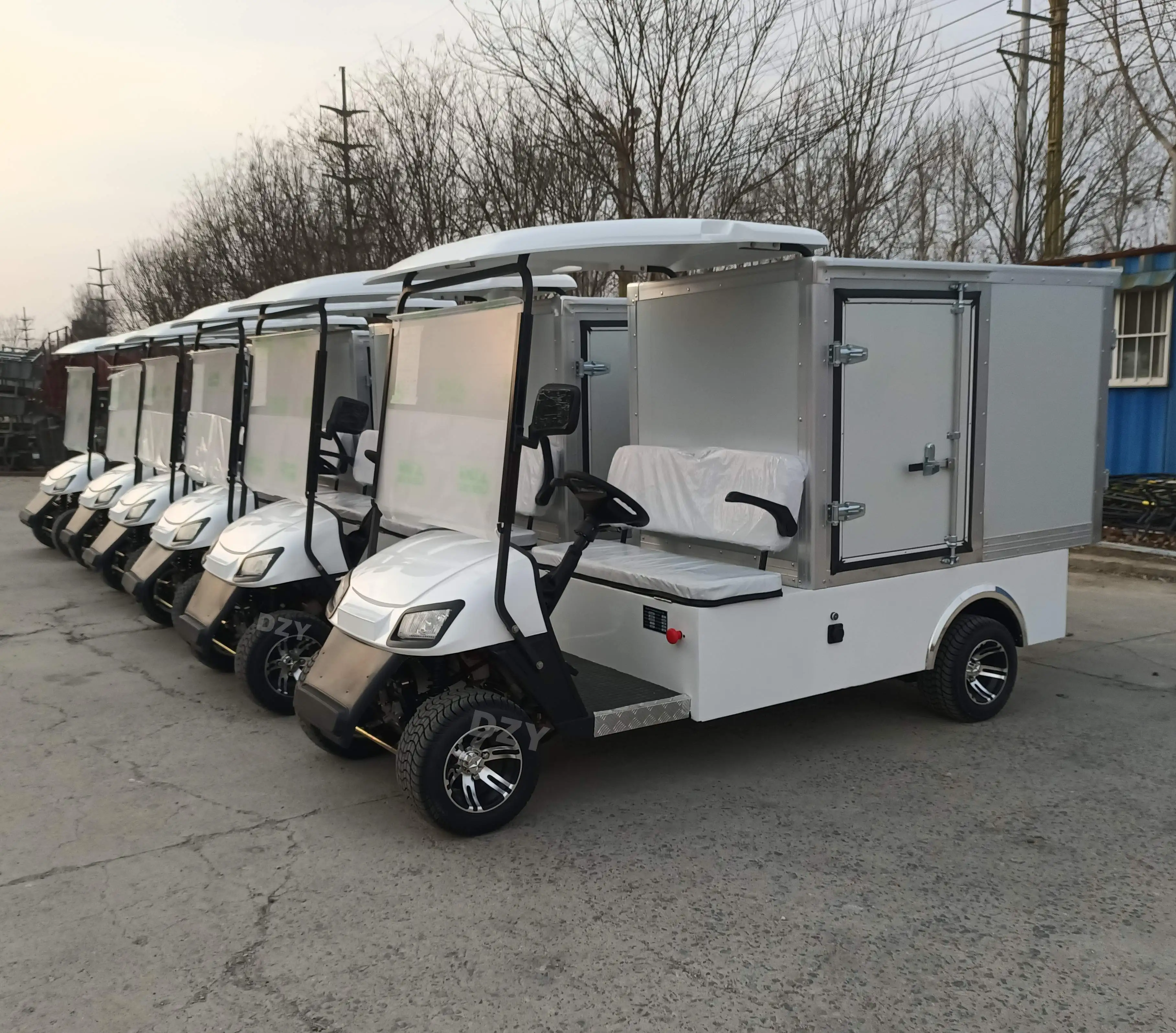 2 Passengers Electric Mini Utility Golf Cart Price CE Approved