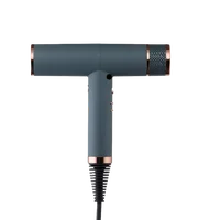 2023 Smart High Speed Brushless Dc Motor Bio Ceramic Far Infrared And Negative Ion Hair Dryer 2