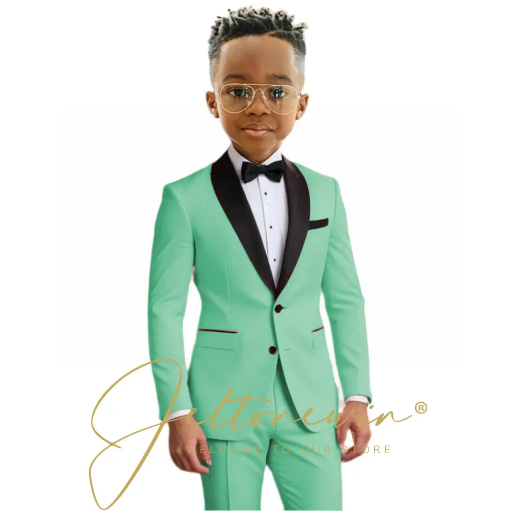 Charming Pink Boys' Two-Piece Formal Tuxedo Set with Shawl Lapel Blazer and Slim Fit Pants