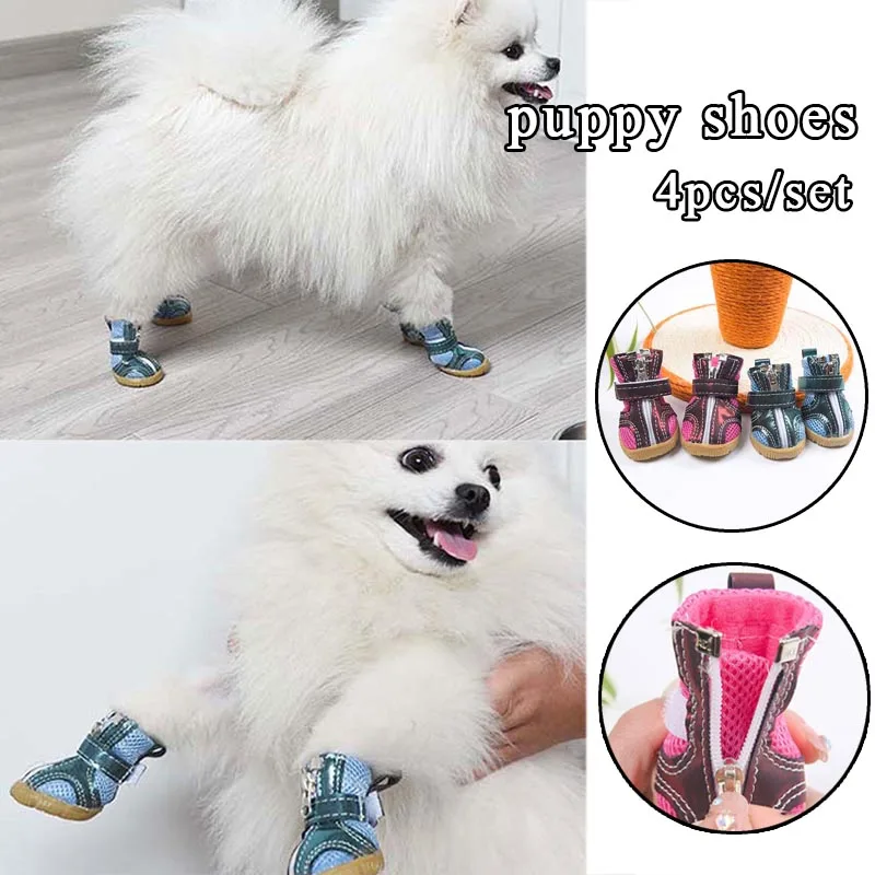 Shoes Dogs Dog Shoes Necessary Put Dog Shoes Dogs Wear Shoes