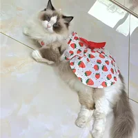 Fruit Flower Pet Dress