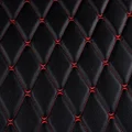 Black Red Line