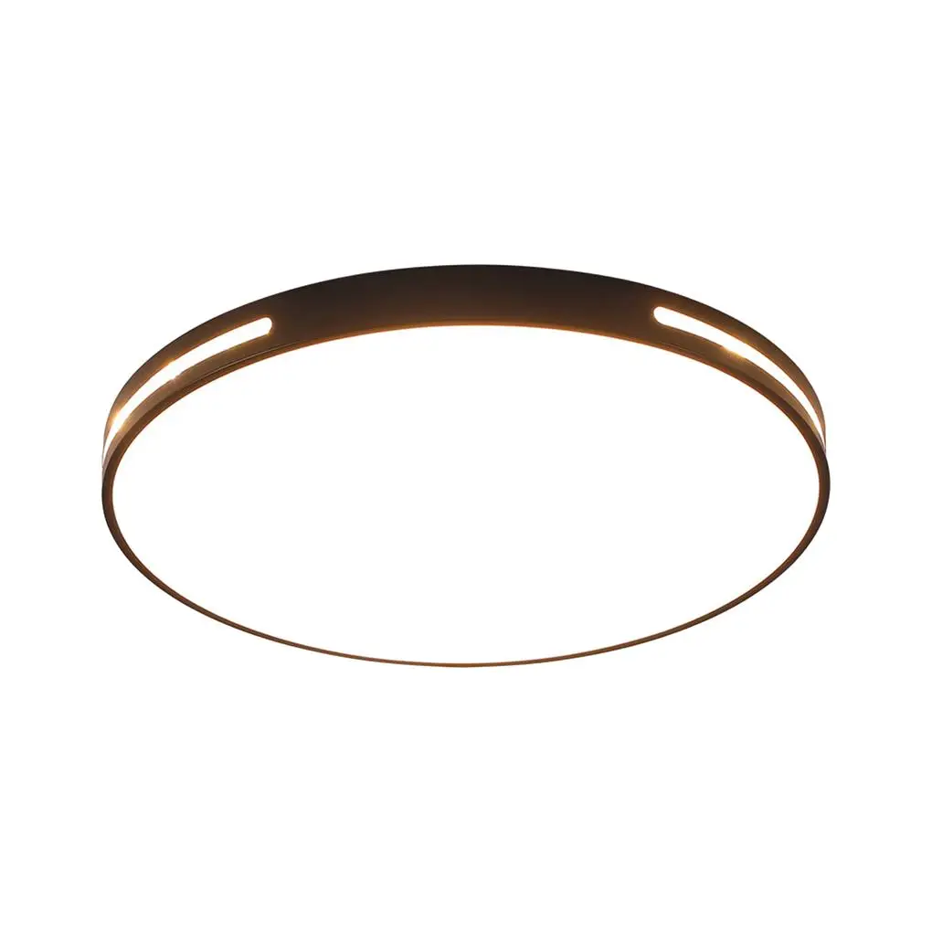 

Ceiling Lamp 24W LED Ceiling Light Simple Mount Lamps Living Room