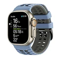 Light Blue Gray