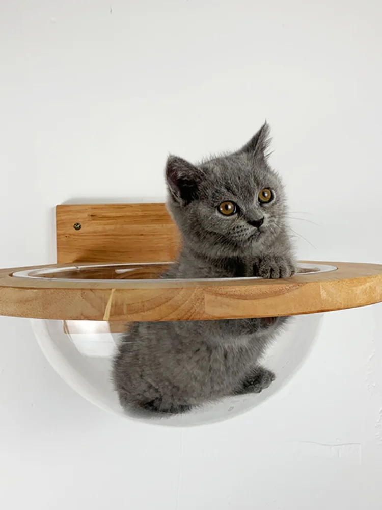 Muebles Para Mascotte, Casa De Pared, Ápsula Espacial Trasparente Jamda En The Pared, Ábol De Gato, Marco De Escalada