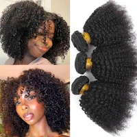 Extensions de cheveux humains naturels vierges indiens bruts, bouclés afro crépus 4B 4C, doux, en trame 1