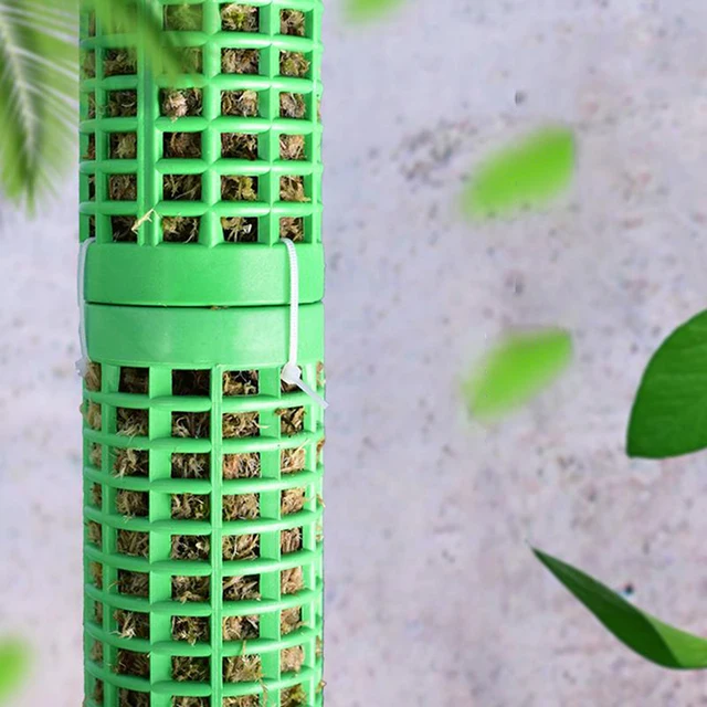 1/2 db Növényi Mászó Keret Egymásra Rakható Növény Mohás Bot Műanyag Üreges Kialakított Mohamos Pólus Cserepes Növények - Image 5