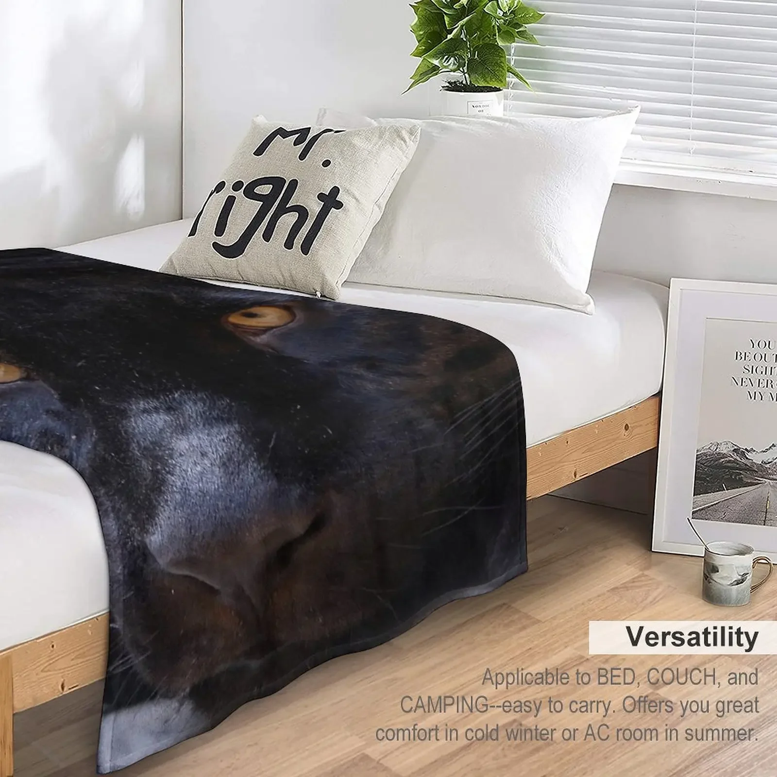 ���� �Ҽ� ������ ���, ǫ���� ���� �ö��� ���� �̺� ���