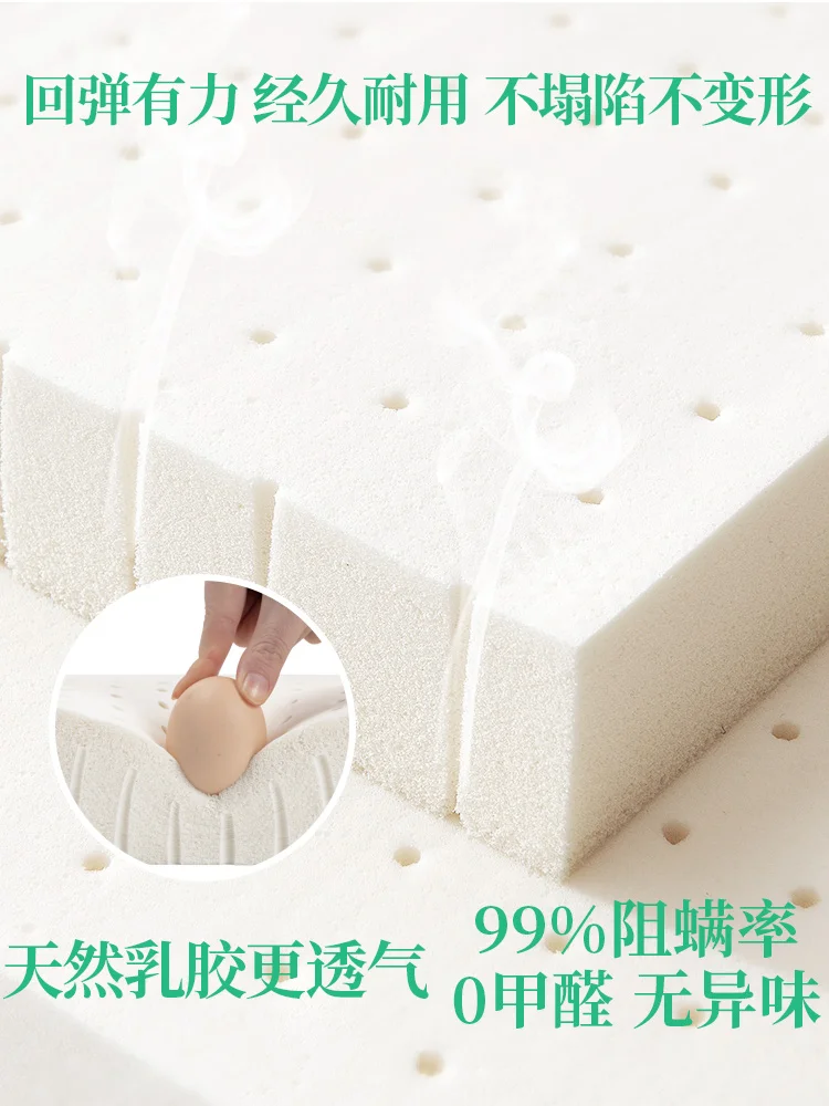 õ�� ���ؽ� �߿� ��� ��Ʈ ����, Ż���� �� ��Ź ���� ���ؽ� �е�, ��⼺ �� �̲��� ���� ���ؽ� ��Ʈ ����, 1 ��