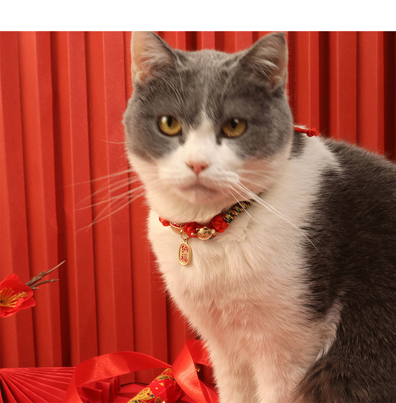 Title 14, Cat Dog Collar Bell Pendant for Kitten Puppy Pe...