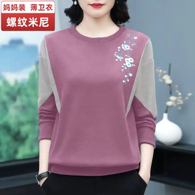 Women's Early Autumn Sweater Thin Spring and Autumn Loose Covering Small Shirt Westernized Long Sleeved Leisure Female Tops