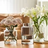 Vase Decoration Living Room Flower Arrangement Glass High-end Sense Transparent Water Treatment 3