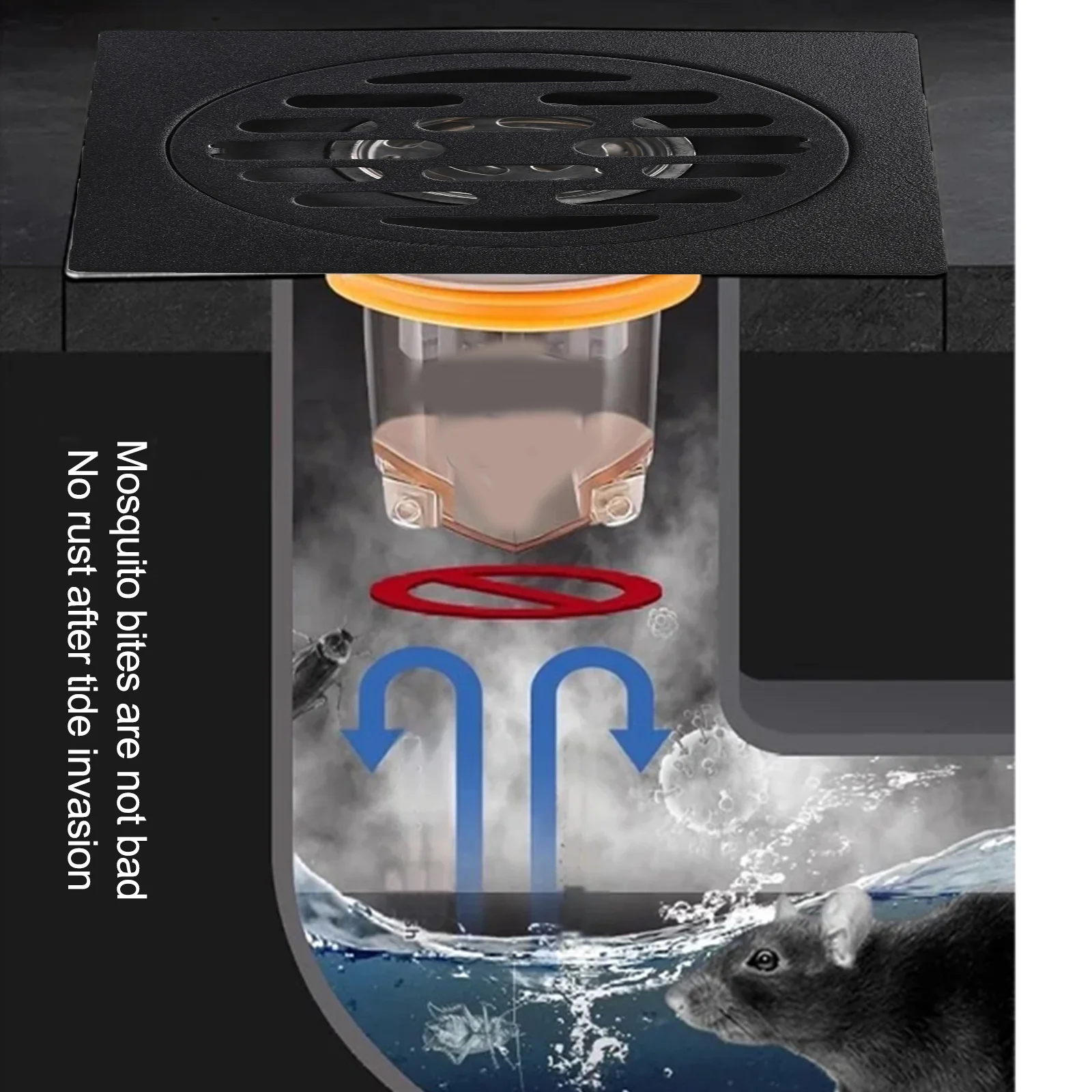 Stainless Steel Shower Floor Drain Backflow Preventer Image 6