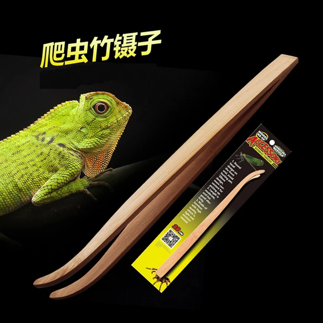 Eco Friendly Reptile Feeding Tongs Tweezers Long Handle Bamboo Food Tongs  Terrarium Cleaning and Feeding Tools 28/16.5cm - AliExpress