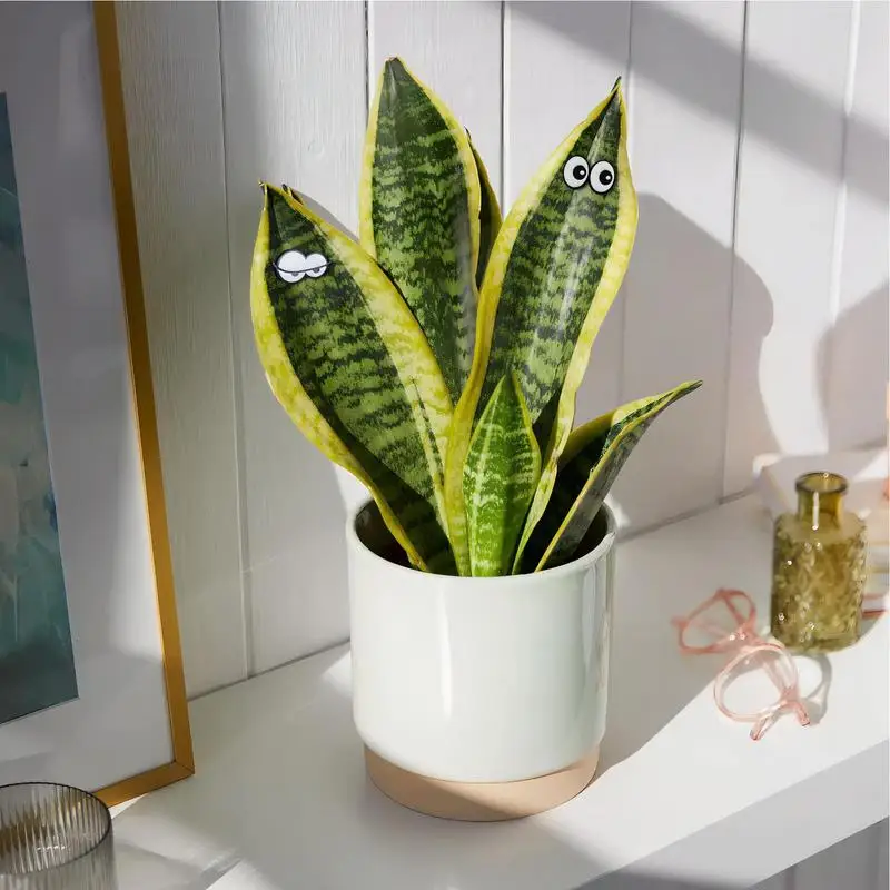 Magnetic Plant Eyes 6PCS Cute Plant Safe Magnets Decor Indoor Accessories Mini Magnets For Cabinet Refrigerator Whiteboard