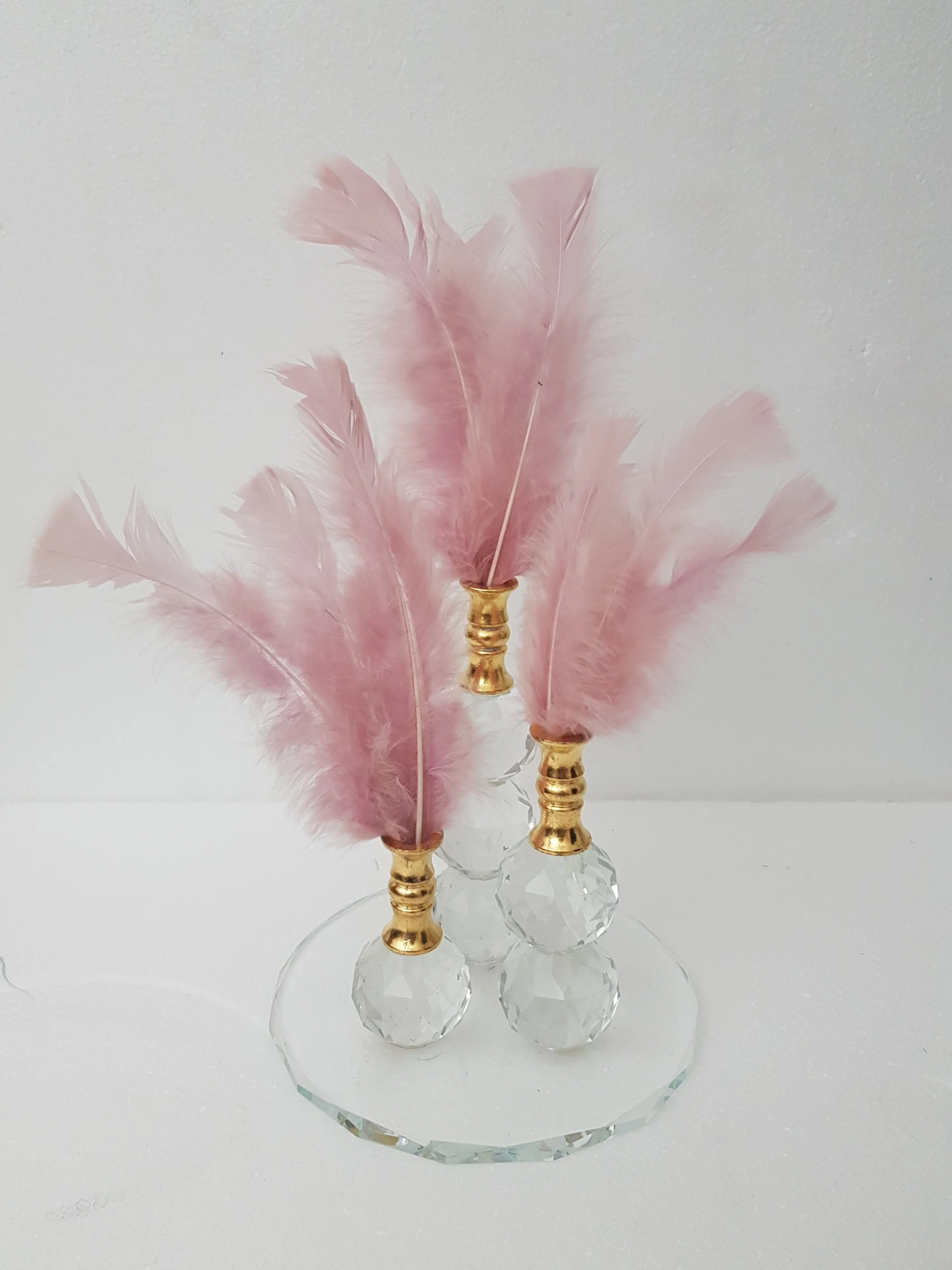 

EU HOME DECORATION AROSE GOLD AĞIZ PINK FEATHER HOME OFFICE DECOR